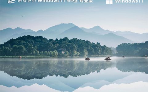 Windows 11 23H2 64位 专业版v2024.08