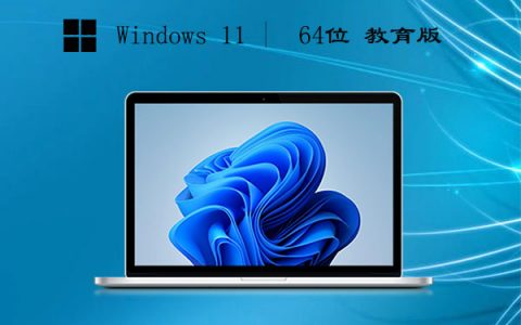 windows11 64位 教育升级版 v2023.06