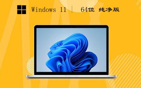 Windows11 64位 纯净版 v2023.05