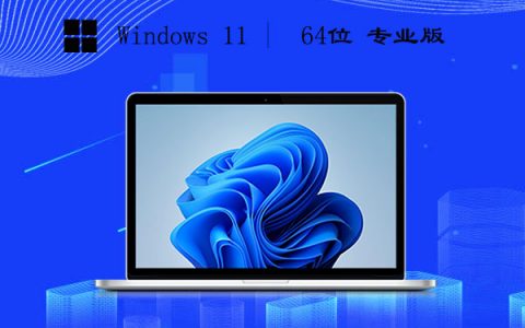 Windows11 64位 专业版 v2023.05