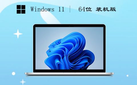 Win11 64位精心简体版 v2023.05