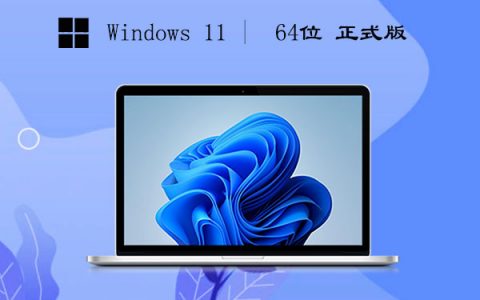 Win11 64位 正式版 v2023.07