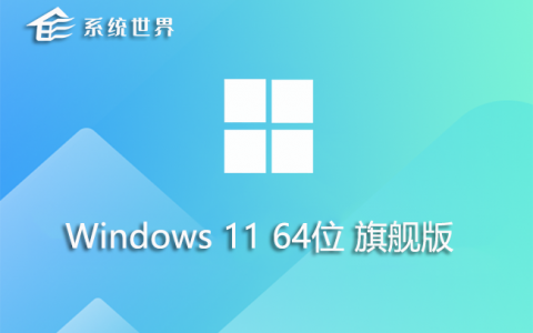 Windows11 64位 旗舰版 v2023.08