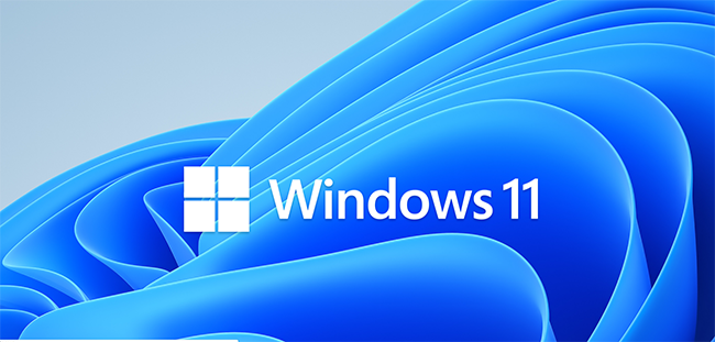 Win11 64位 专业版 v2023.08