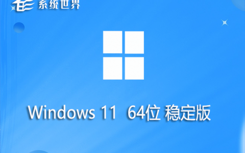 Win11 64位 稳定版 v2023.08