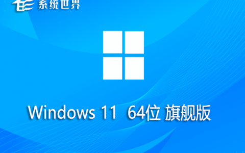 windows11 64位 旗舰版系统 v2023.08