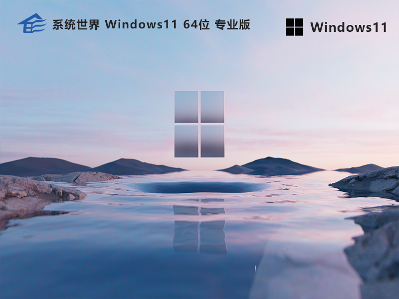 win11 64位 专业版 v2023.08