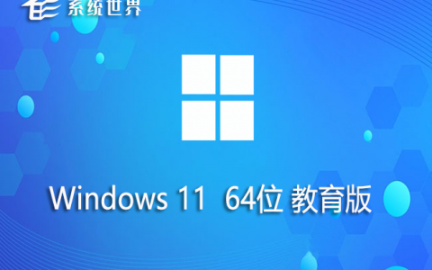 Windows11 64位 旗舰教育版 v2023.08