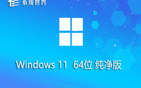 win11 64位 纯净版v2024 系统速度快 稳定流畅