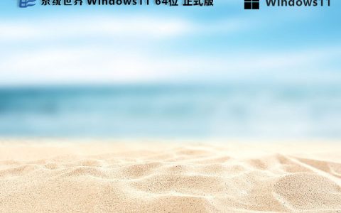 windows11 64位 正式版 v2023.09