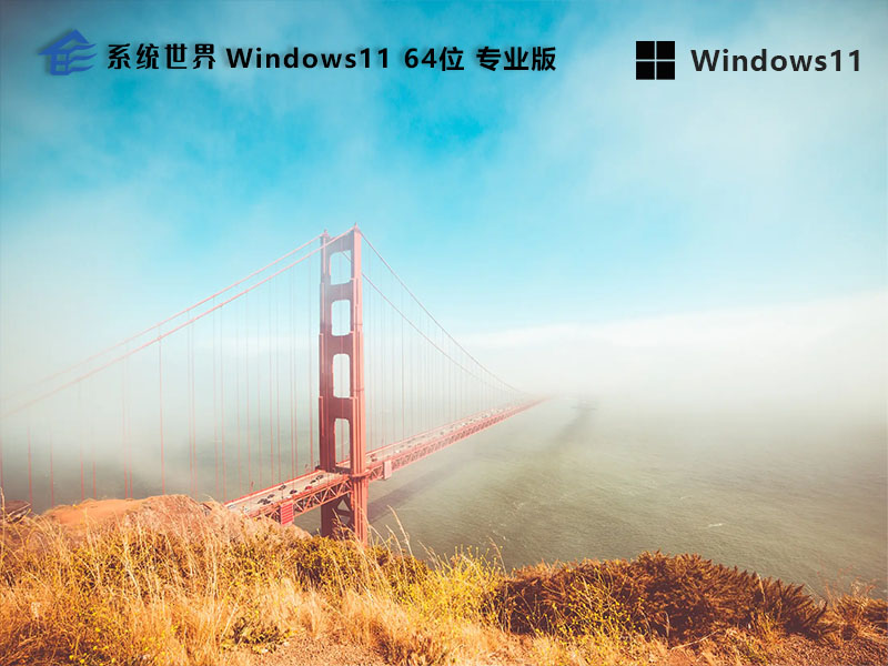 系统世界 Windows11专业版