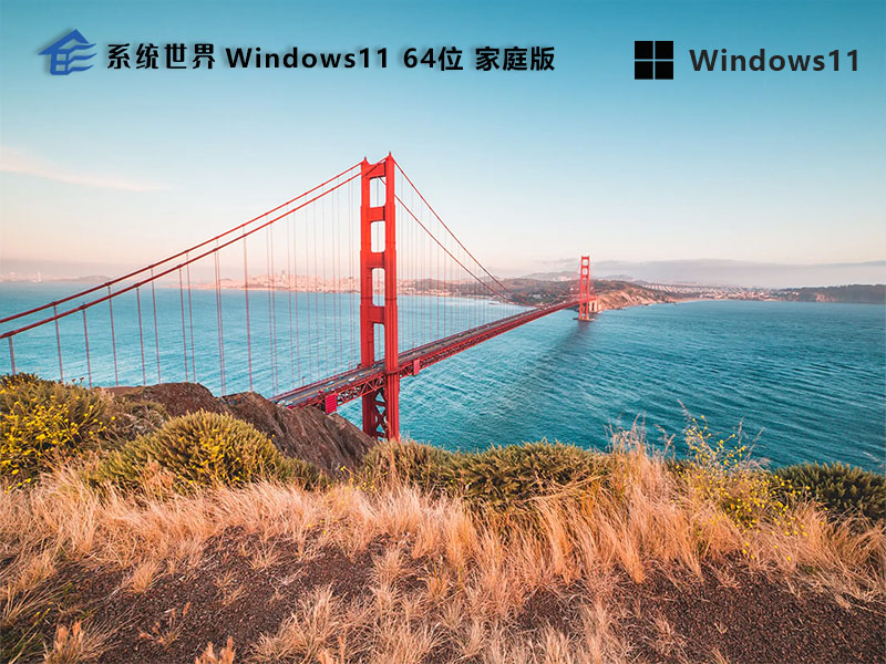 Windows11 64位 家庭中文版v2023.10