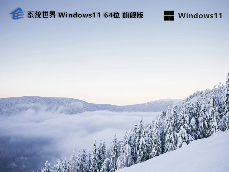 Windows11 64位 旗舰版v2023.12