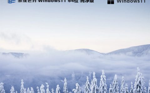 Ghost Windows11 纯净版v2024.1