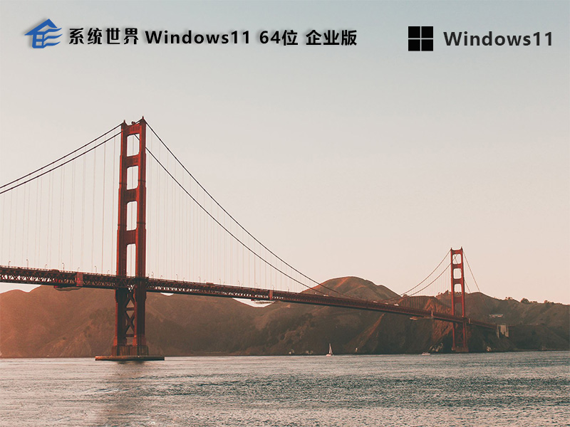 Windows11 64位 企业版v2024.03