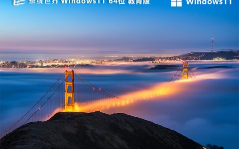 Windows 11 64位 教育升级版v2024.03