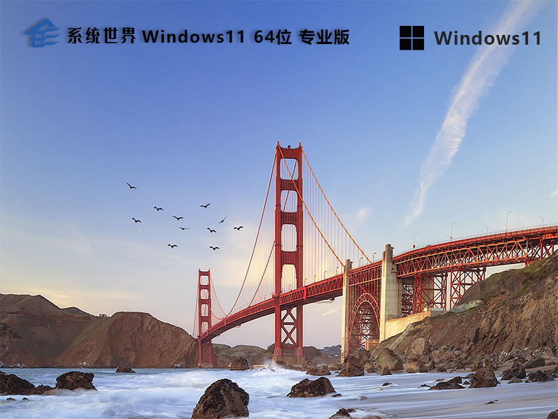 Windows 11 64位 专业版2024.03