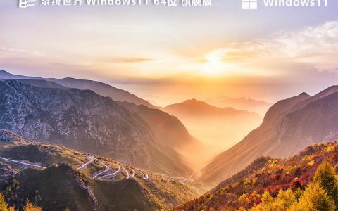 Windows 11 64位 中文旗舰版v2024.04