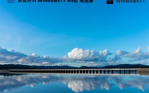 Windows 11 Pro 64位 专业镜像版v2024.05