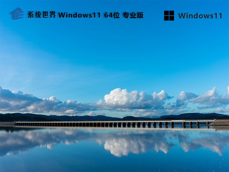 Windows 11 64位 专业正式版 ISO 镜像