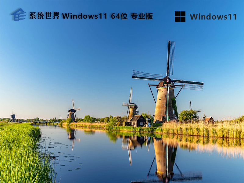 Windows 11 64位 专业正式版 ISO 镜像