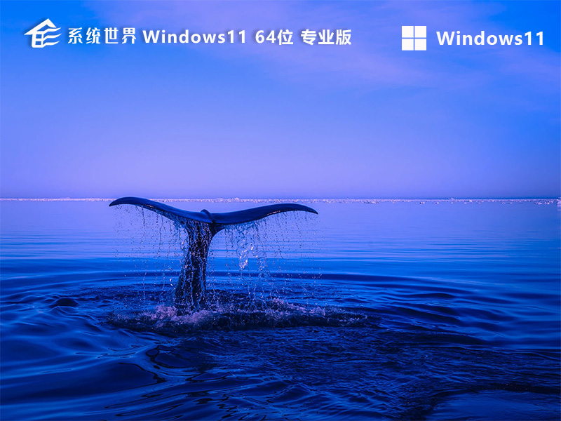 Windows 11 Pro 64位 最新专业版v2024.06