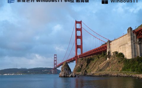 Windows 11 64位 教育精简版 22H2 v2024.06