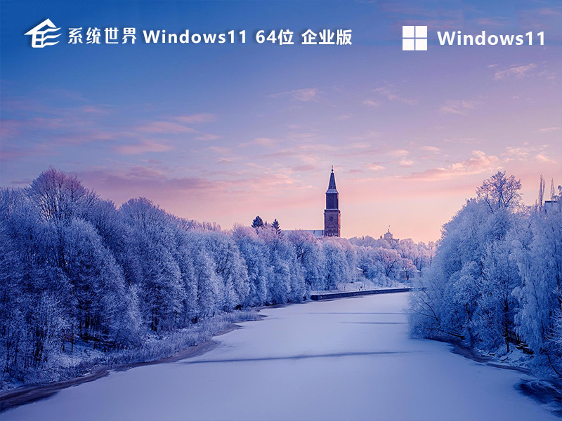 Windows11 22H2 64位 企业版v2024.07