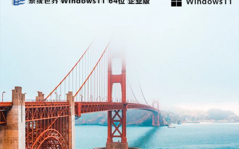 Windows 11 64位 企业镜像版v2024.07