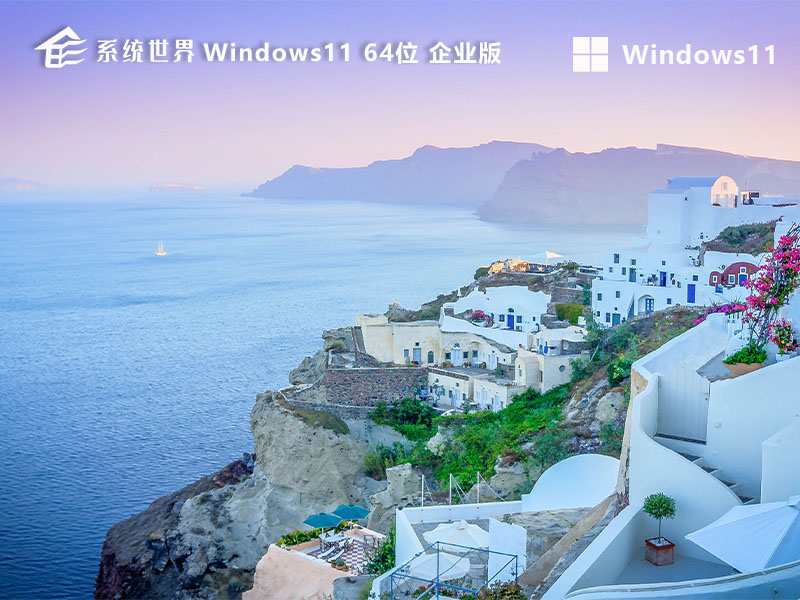 Windows11 23H2 64位 企业版v2024.07