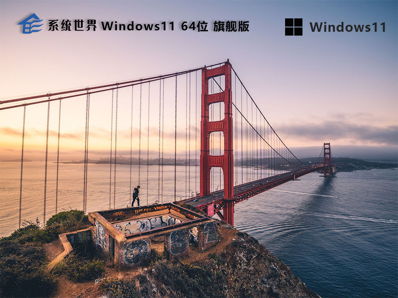 Windows 11 64位 旗舰升级版 v2024.07