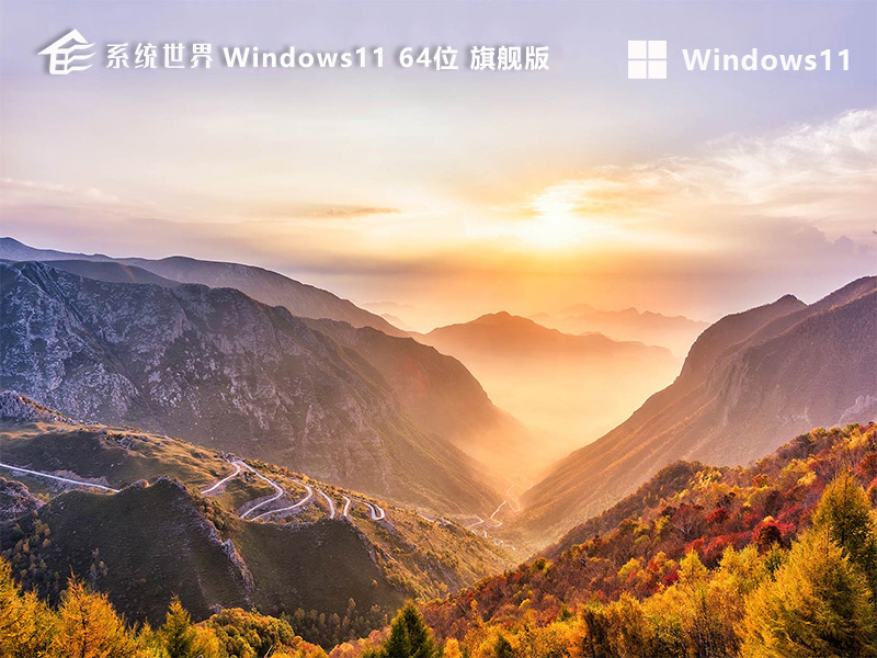 Windows 11 64位 旗舰升级版 v2024.07