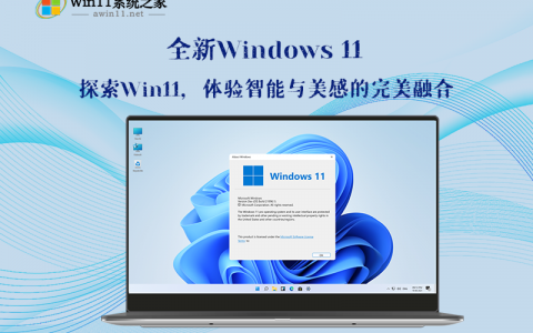 Windows 11 64位 家庭版v2024.07