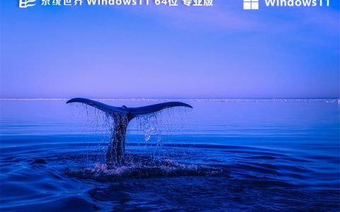 Windows 11 23H2 纯净专业版 64位 系统镜像v2024.08