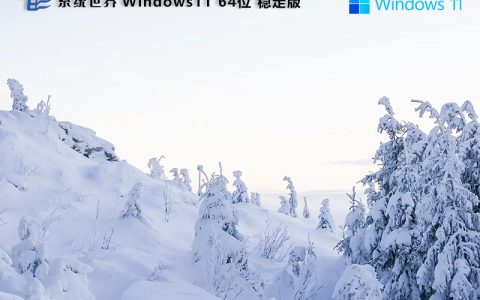 Windows 11 23H2 稳定流畅版v2024.09