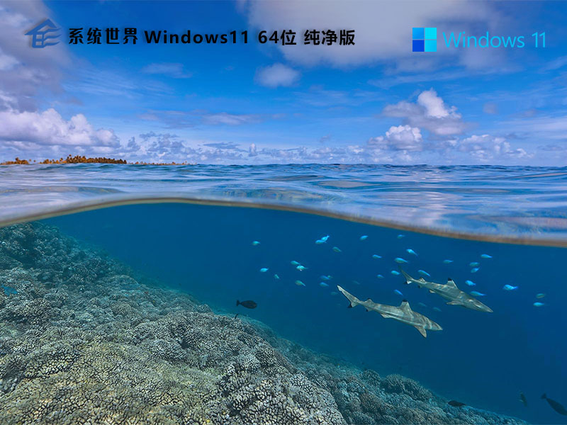 Windows 11 64位 纯净版v2024.10