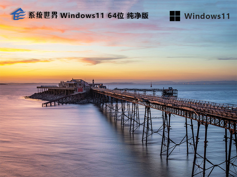 Windows 11 64位 纯净版v2024.10